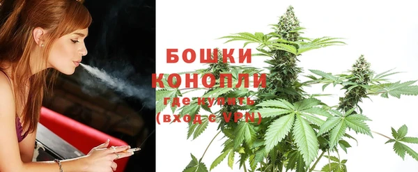 гидра Алексеевка